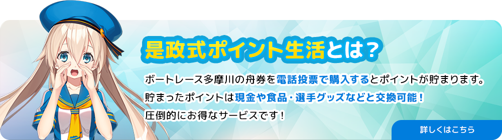 是政式ポイント生活とは